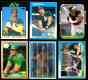 Jose Canseco - 1986/87 Lot of (6) different ROOKIE & RC year CARDS !!!
