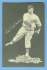 1932 Cubs Team Issue #16 Pat Malone