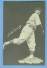 1932 Cubs Team Issue #24 Bud Tinning