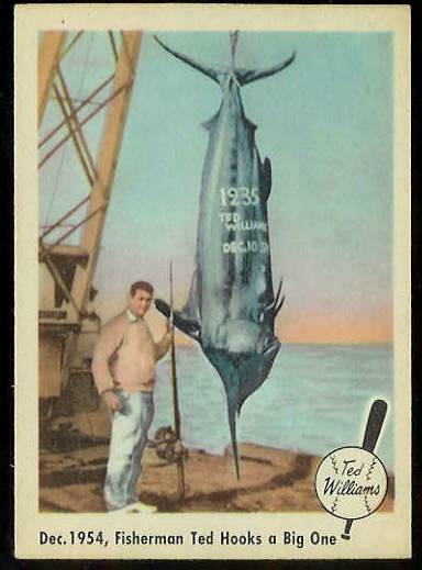 1959 Fleer Ted Williams #54 'Ted Hooks Big One' (Red Sox) Baseball cards value