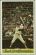  Carl Yastrzemski - 1971 Dell MLB Stamp [regular] (Red Sox)