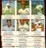  1975 Hostess  - Lot (8) COMPLETE PANELS (w/4 HALL-OF-FAMERS !!!) [#a]