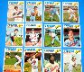 1977 Topps  - TWINS - COMPLETE TEAM SET (23)