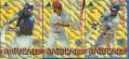 1994 Pinnacle 'The NATURALS'  - Lot of (8) different with TONY GWYNN