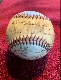  1951 Tigers - Team Signed/AUTOGRAPHED baseball [#11n] w/29 Signatures !