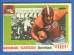 1955 Topps ALL-AMERICAN FB #..8 George Cafego ROOKIE (Tennessee)