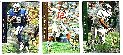 1994 SP Football - COMPLETE ROOKIES SUBSET - #1-#20 (20 cards) SNAP-TITES