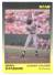  1989 Star Company ALBANY YANKEES (23) Complete TEAM SET (minor league)