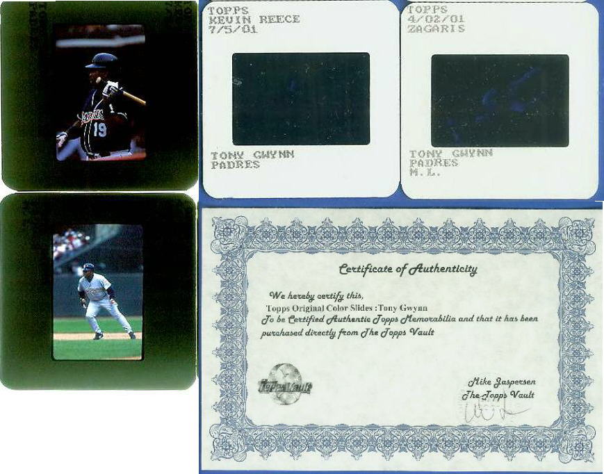 TONY GWYNN - Topps ORIGINAL Color Slides - 2 different slides [#1] Baseball cards value