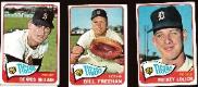 1965 Topps  - TIGERS Starter Team Set (16/31)