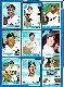 1966 Topps  - TWINS - Starter Team Set/Lot (16/27 cards)