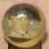 1970 Chemtoy Superball #149 Tom Phoebus (Orioles)