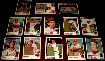 1973 Topps  - Cardinals Near Complete TEAM SET/LOT of (18/23)