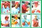 1976 SSPC  - Phillies COMPLETE TEAM SET (25)