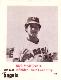  1974 Caruso Salt Lake City GULLS - Complete TEAM SET (10) Minor League