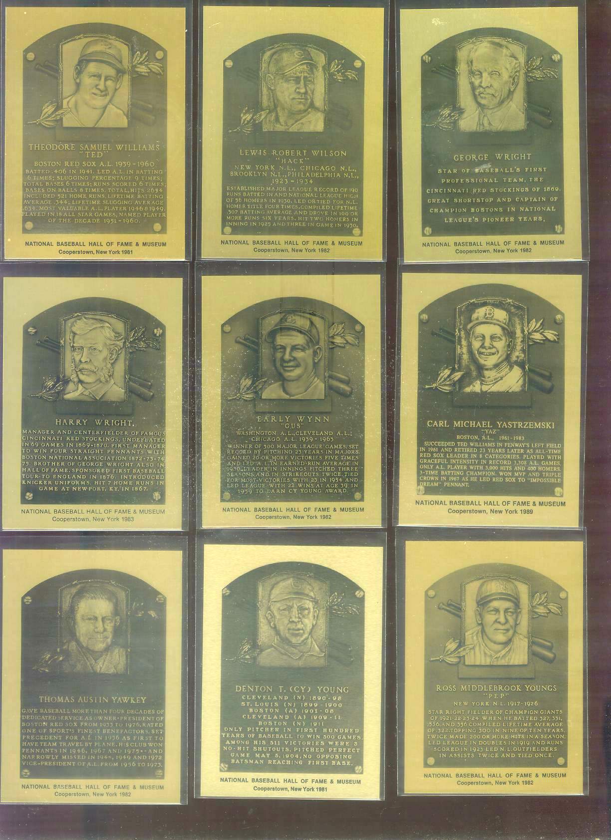 1981-89 Hall-of-Fame METAL PLAQUE # 12 Cy Young Baseball cards value