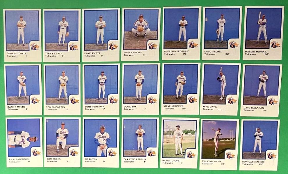  1986 ProCards TIDEWATER TIDES (Mets) - Complete TEAM SET (31) Minor League Baseball cards value