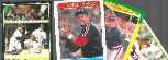 Carlton Fisk -  ODDBALL COLLECTION - Lot of (14) different 80's/90's