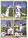  1988 ProCards IOWA CUBS - Complete TEAM SET (25) Minor League