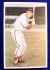  #20 Stan Musial - 1982 TCMA Stars of the 50's JUMBO (Cardinals)