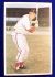 #20 Stan Musial - 1982 TCMA Stars of the 50's JUMBO (Cardinals)