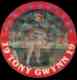 Tony Gwynn - 1987 Sportflics #7 JUMBO DISC (Padres)