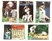  Pirates - 1994 Topps BILINGUAL (Spanish) - COMPLETE TEAM SET (26)