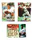  Tigers - 1994 Topps BILINGUAL (Spanish) - COMPLETE TEAM SET (28)
