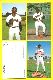  GIANTS - 1985 Barry Colla POSTCARDS - Complete TEAM SET/LOT (31 Cards)