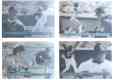   Denny's - 1994 GRAND SLAM HOLOGRAMS - COMPLETE SET (28 cards)