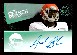  Andre Branch - 2012 Press Pass Authentics AUTOGRAPH ROOKIE[#d/15](Clemson)