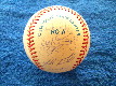   1995 Blue Jays - Team Signed/AUTOGRAPHED baseball [#10c] 27 Signatures