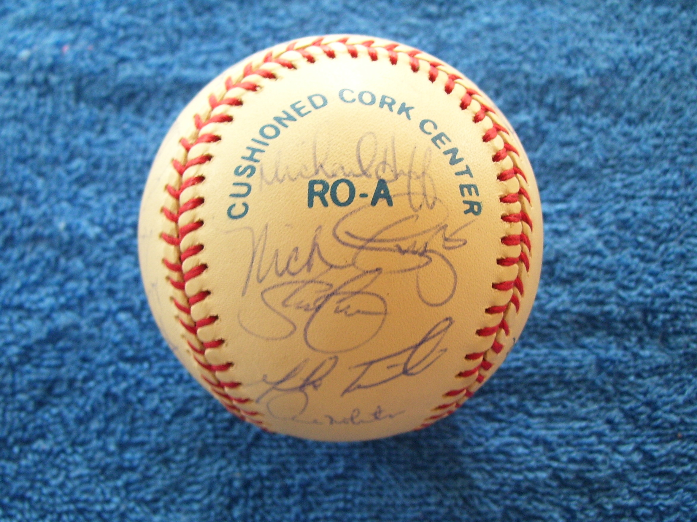   1995 Blue Jays - Team Signed/AUTOGRAPHED baseball [#10c] 27 Signatures Baseball cards value
