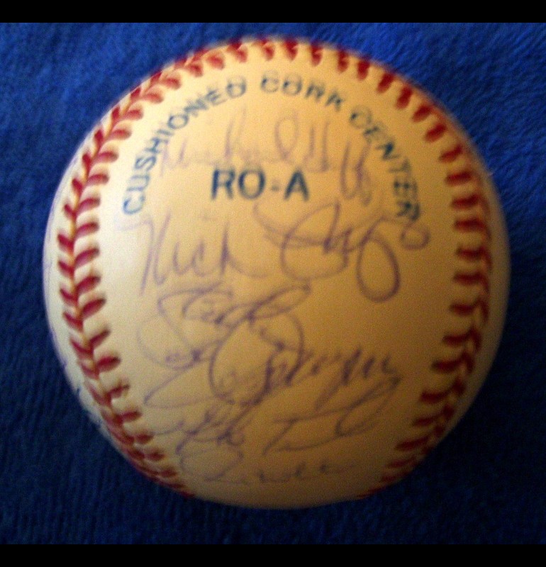   1995 Brewers - Team Signed/AUTOGRAPHED baseball [#ed6-05] w/23 Signatures Baseball cards value