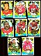 1967 Topps FB  - BOSTON PATRIOTS Starter Team Set/Lot (10/14) cards