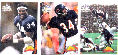 Walter Payton - 1994 Ted Williams Co. FB - Complete 9-card insert set