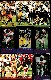 1995-1997 Football PHONE CARDS - Lot of (46) with (28) different