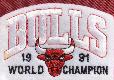 BULLS - 1991 World Champion Logo JERSEY PATCH (Michael Jordan)