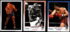 1991 KAYO Boxing  - Near Set/Lot - (195) different w/stars