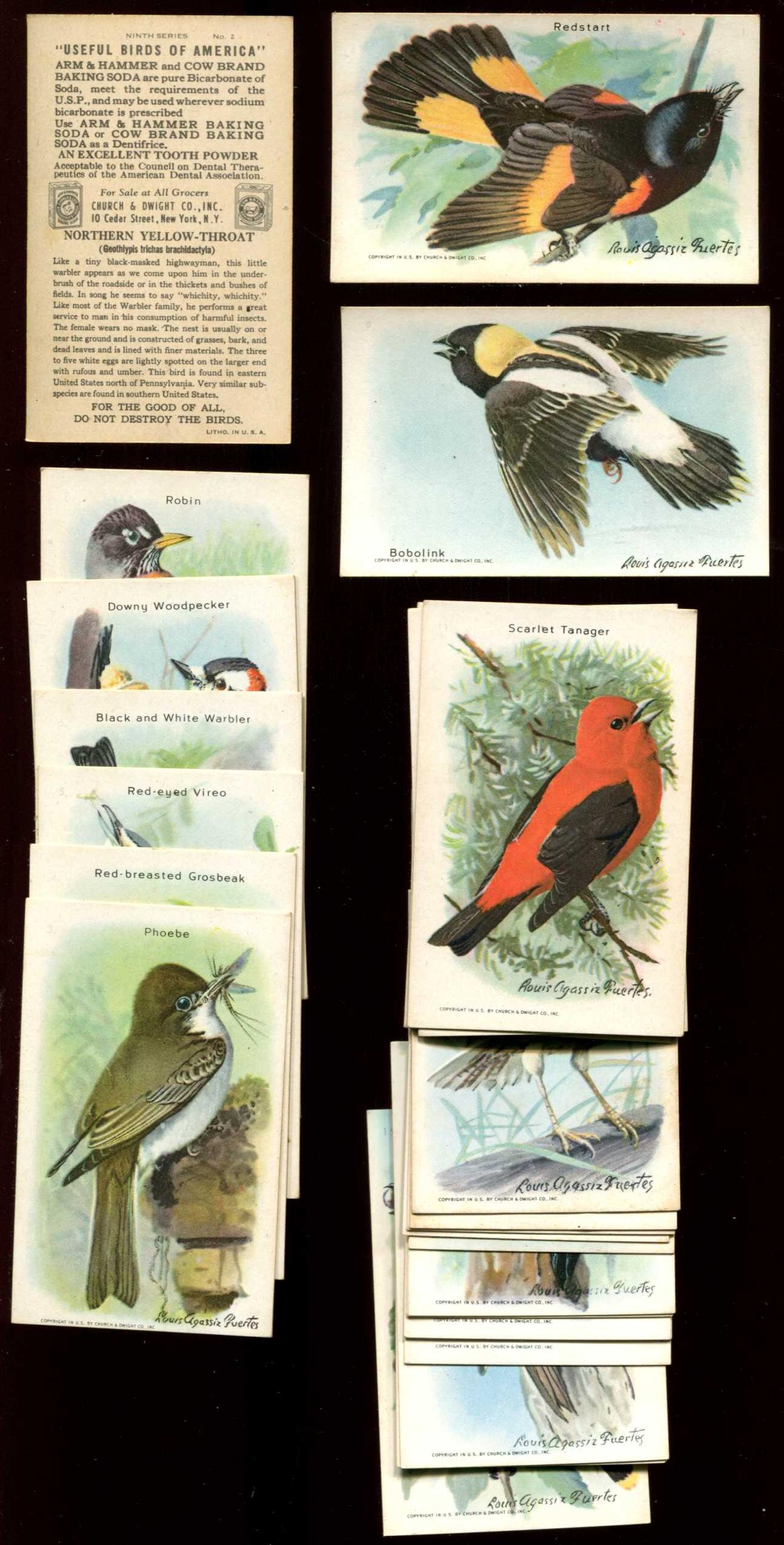 1920's-1930's Church & Dwight Co. - Lot of (29) USEFUL BIRDS n cards value