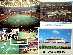  Vintage Postcards - ASTRODOME - Lot (4) 1960's-1970's Postcards (Astros)