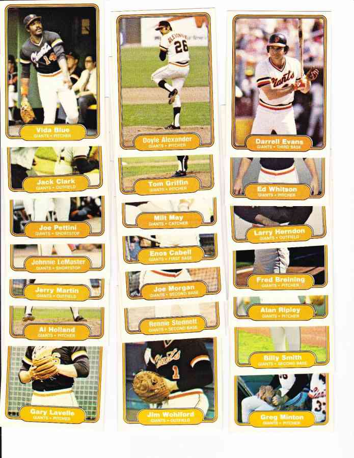 Auction Prices Realized Baseball Cards 1982 Fleer Al Hrabosky ALL HRABOSKY,  5'1 BACK