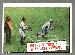 1961 Topps #404 'Rogers Hornsby .424 Batting Average' [#l]