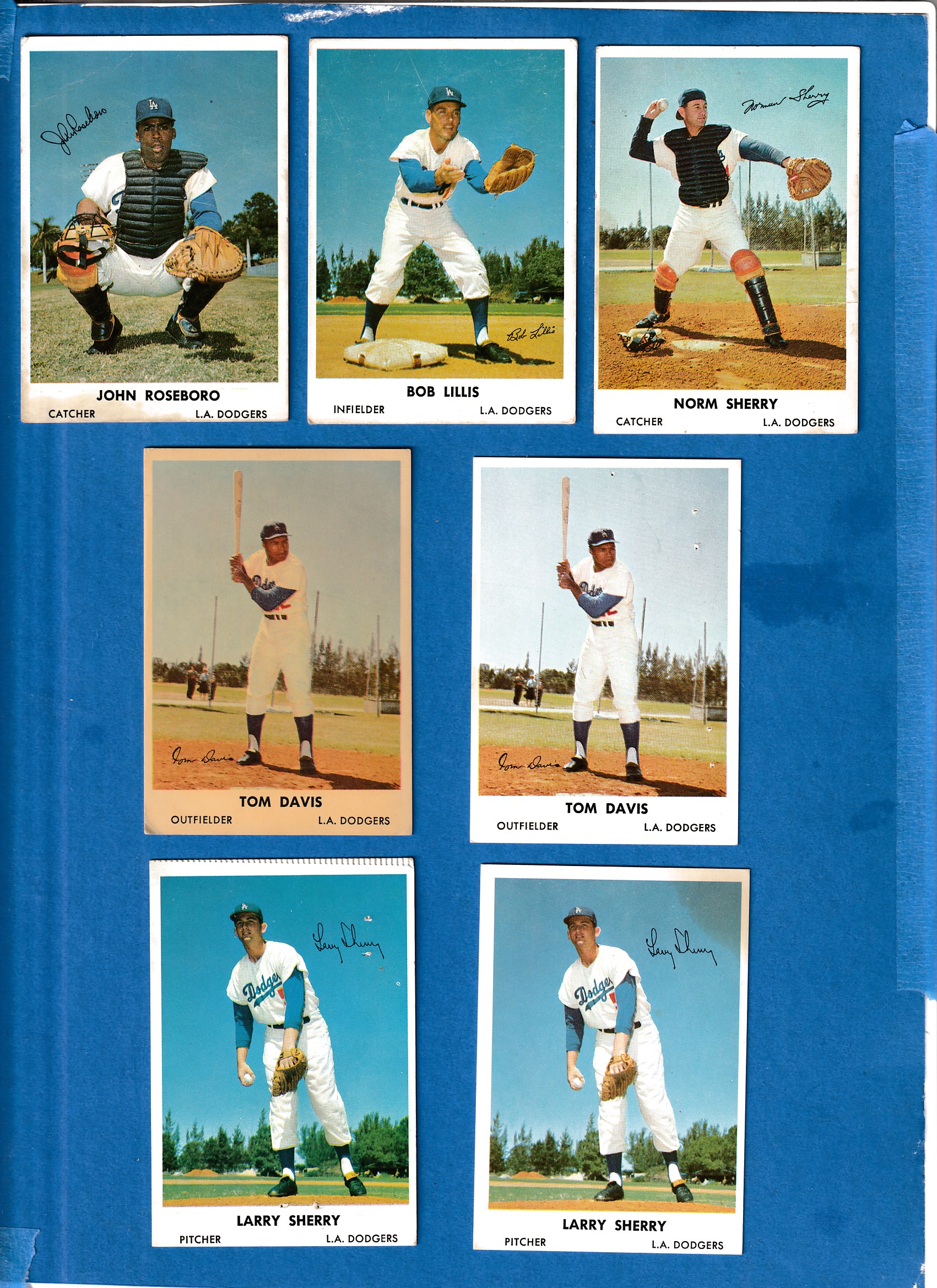 1961 Bell Brand Dodgers #34 Norm Sherry  cards value