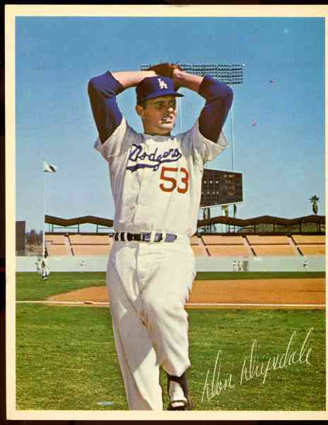 1968/69 DODGERS Team Issued 8x10 Photos - Lot of (50) assorted  cards value