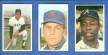 Pete Rose - 1971 Dell MLB Stamp LAMINATED (Reds)