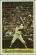 Carl Yastrzemski - 1971 Dell MLB Stamp [regular] (Red Sox)
