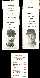 Angels - 1972 Milton Bradley - Near Team Set/Lot (15/17 cards)