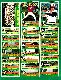 ORIOLES - 1976 O-Pee-Chee/OPC - COMPLETE TEAM SET (24)