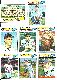 1977 Topps  - RANGERS - COMPLETE TEAM SET (25)